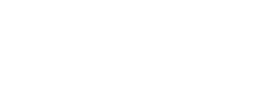 Horizontal Logo - White